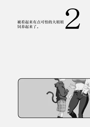 第5页图