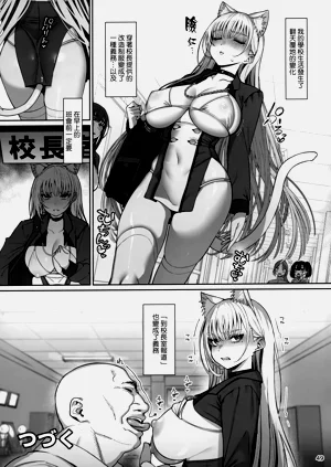 第51页图
