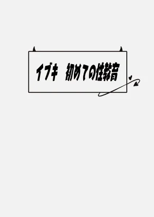 第31頁圖