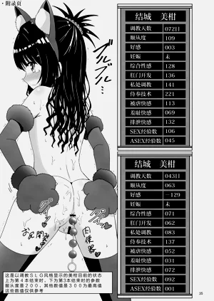 第34頁圖