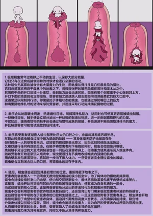 第33頁圖