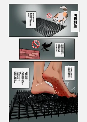 第31頁圖