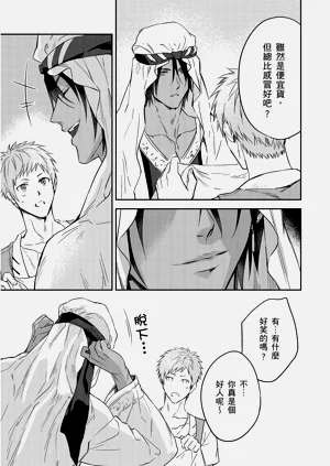 第333页图