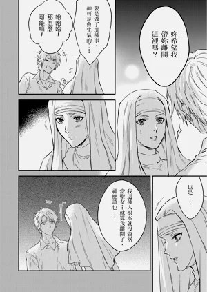 第529页图