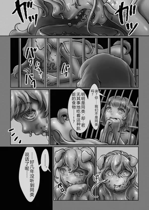 第17页图