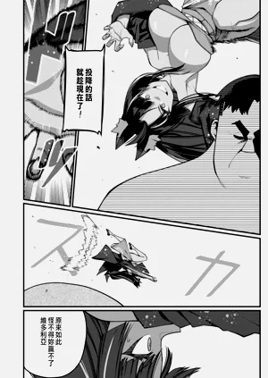 第411页图