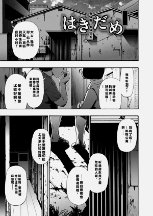 第43頁圖