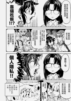第250頁圖