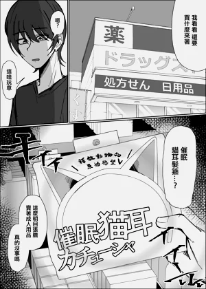 第3页图