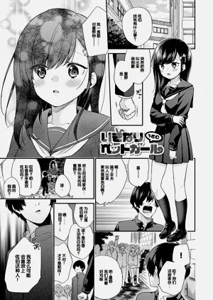 第46頁圖