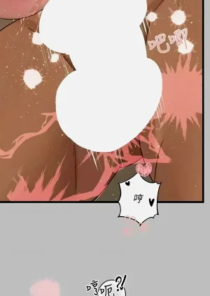 第207頁圖