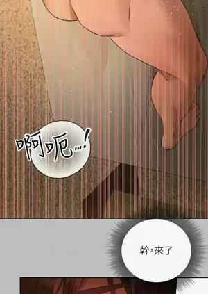 第213頁圖