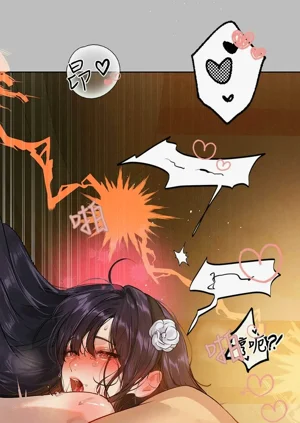 第224頁圖