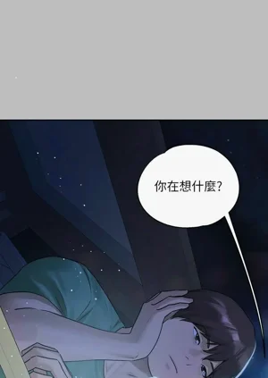 第239頁圖