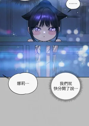 第241頁圖