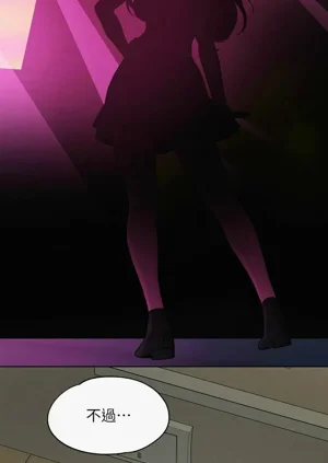 第248頁圖