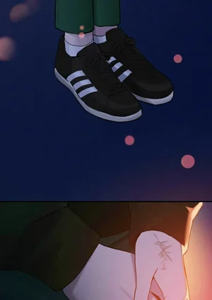 第273頁圖