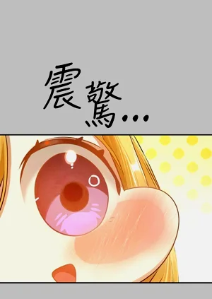 第319頁圖