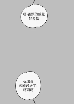 第331頁圖