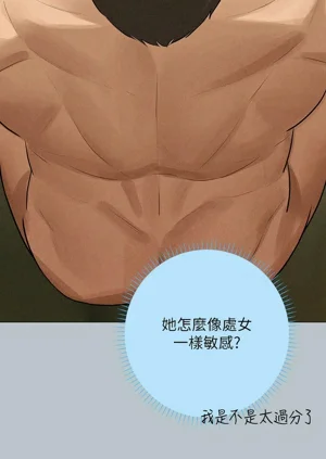 第336頁圖