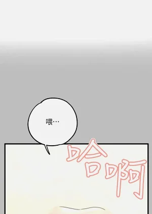 第338頁圖