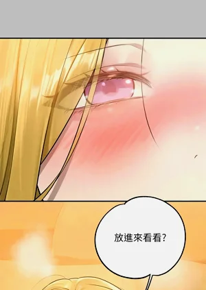 第339頁圖