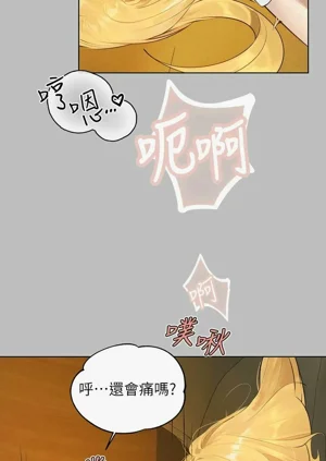 第357頁圖