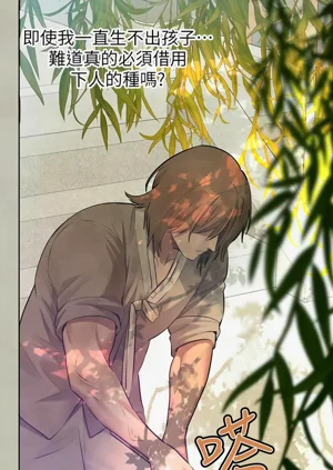 第223頁圖