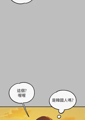 第295頁圖