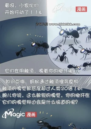 第16页图
