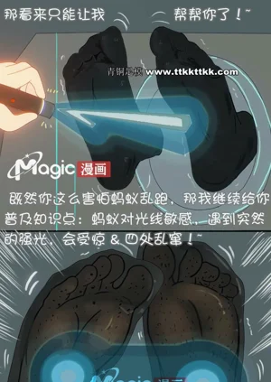 第23页图