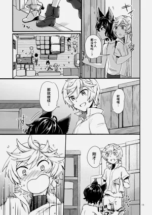 第15页图