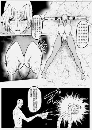 第17页图