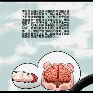 第84页图