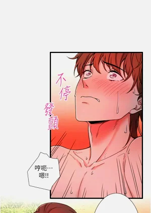 第174頁圖