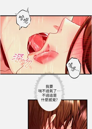 第182頁圖