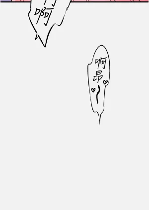 第219頁圖