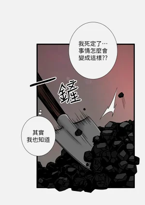 第262頁圖