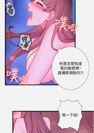 第291頁圖