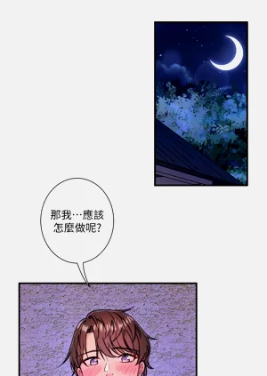第315頁圖