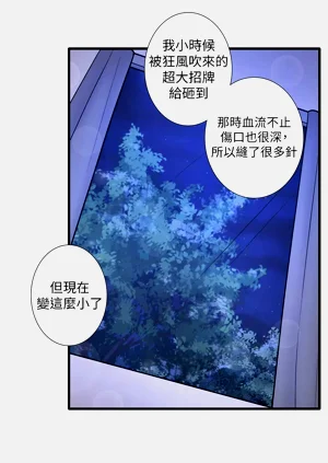 第351頁圖