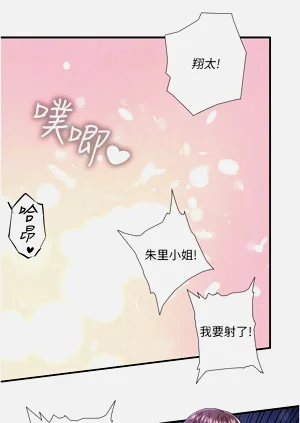 第382頁圖