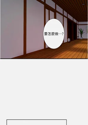 第447頁圖