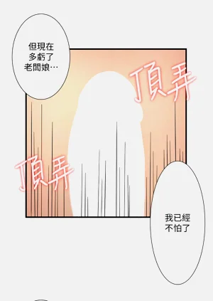 第459頁圖