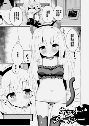 第51頁圖