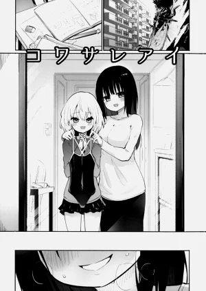 第2页图