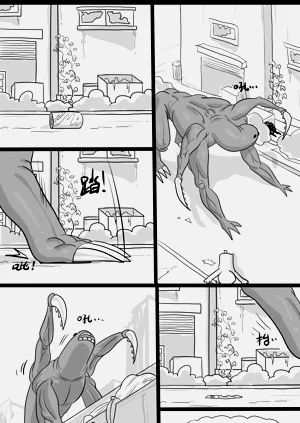 第3页图