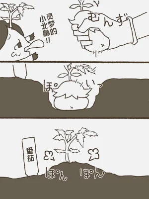 第20页图