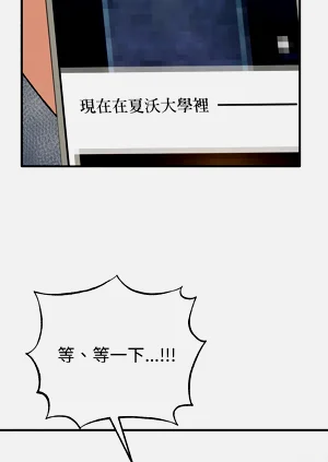 第43頁圖