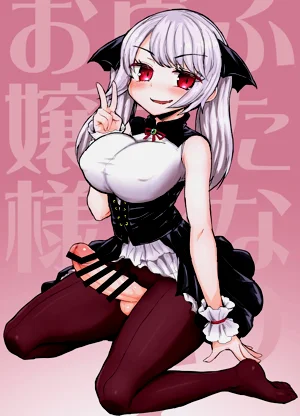 第17页图